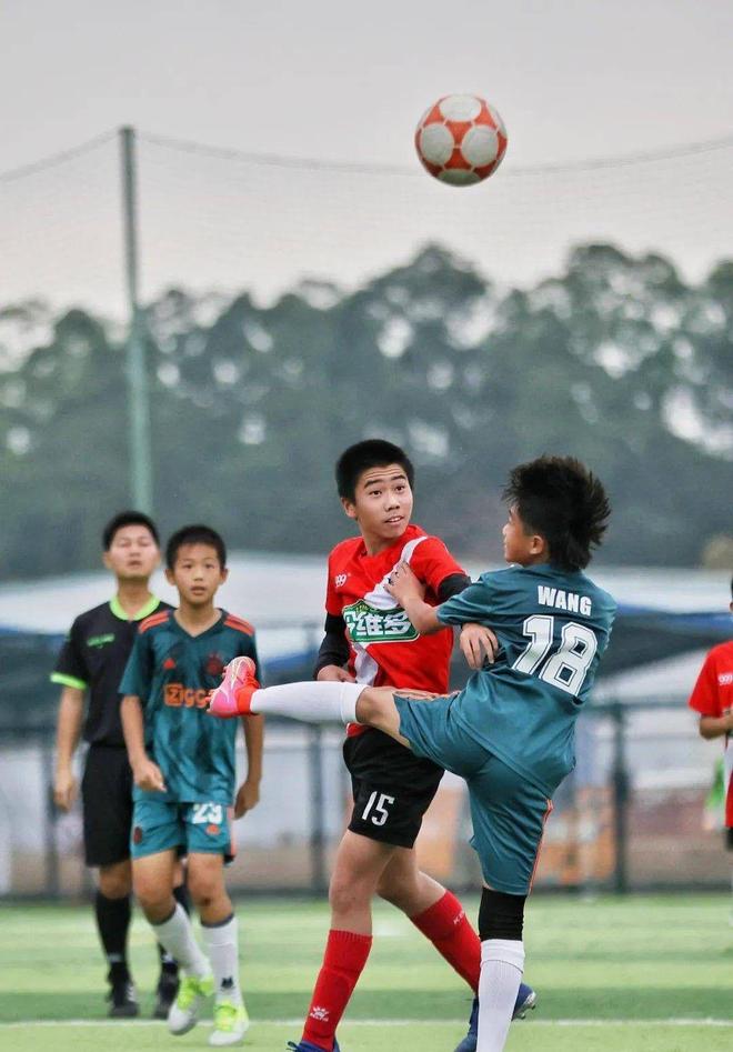 新赛季CBA辽篮分组遇强手