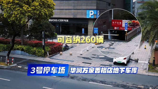 中国男篮击败荷兰，赛后球员评分，1人满分，2人优秀，其余不及格
