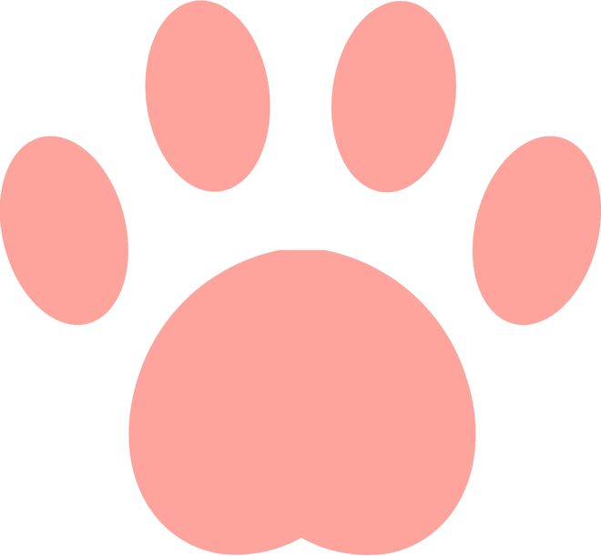 女排亚锦赛2‑3遭泰国绝杀!全网暴怒6问赵勇:为何弃用张籽萱?