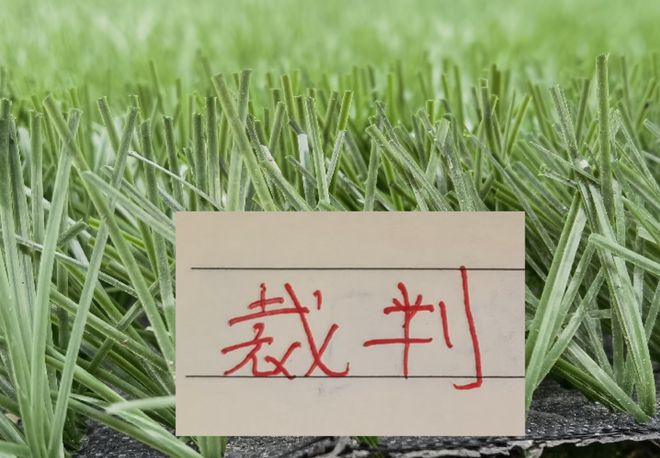 “张雪机车”车手获世界超级摩托车锦标赛多宁顿站杆位赛第7名