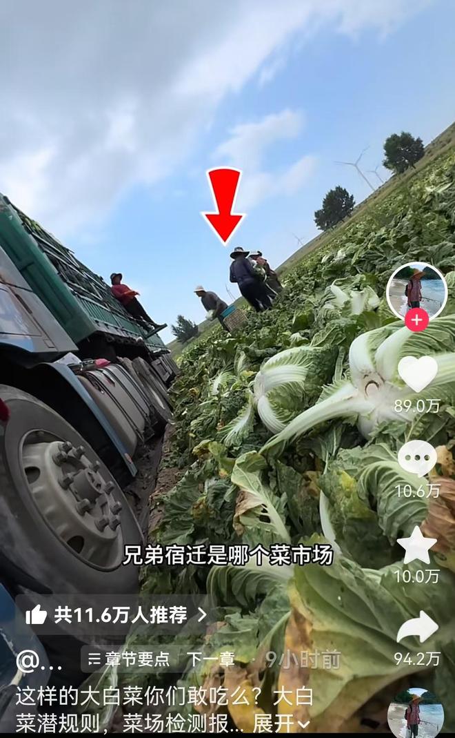 荷兰称小组第一不完美 摩洛哥是“硬茬”
